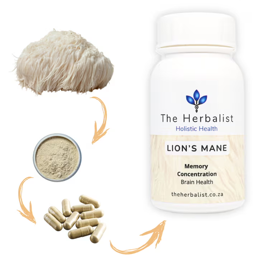 natural powder capsules made from pure lions mane mushrooms