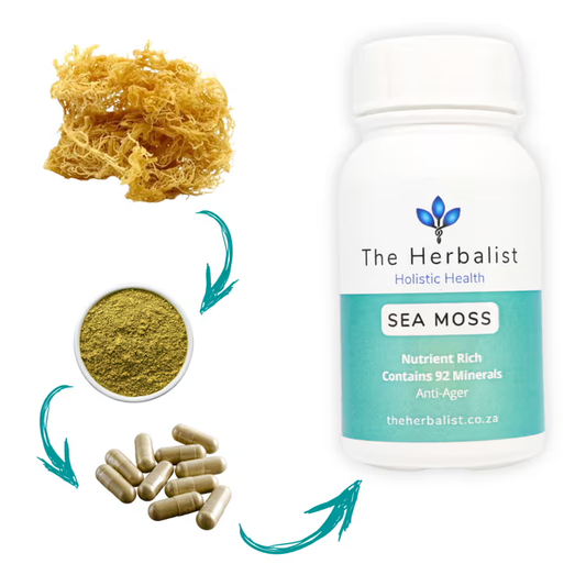 nutrient rich sea moss supplements containing 92 minerals to help with anti aging