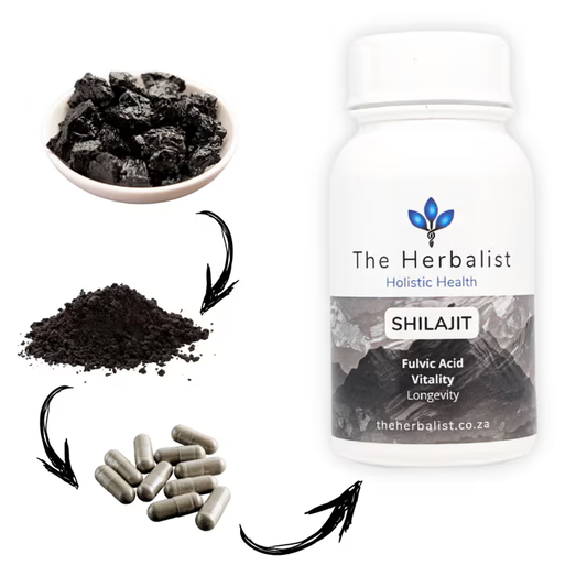 powder supplements made from powdered shilajit 