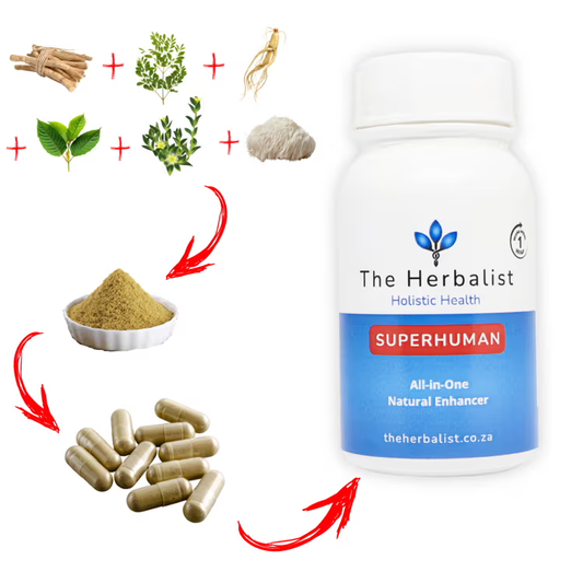 natural powder capsule supplements made from pure White Kratom, Green Kratom, Moringa, Ginseng, Ashwagandha,Sceletium and Lion’s mane.